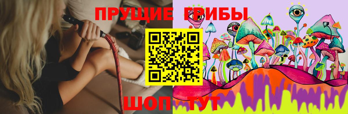 Галлюциногенные грибы Psilocybe Энгельс
